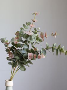 High Quality Artificial Eucalyptus Leaves Floral Arrangement Props Photography Props Simple Style Silk Flowers Home Decor