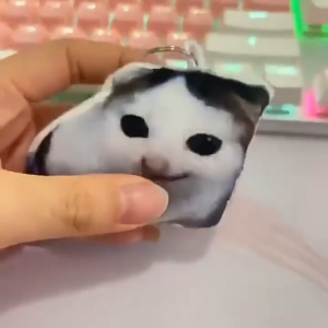 Voice Cat Pendant Press Creative Keychain Voice Doll Toy Voice Funny Smile Hit Cat Plush Doll Toy Best Friend Gift Couple Keychain