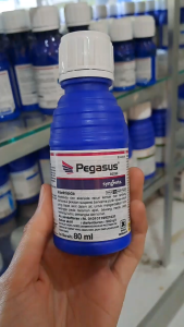 PEGASUS 500 SC INSEKTISIDA PENGENDALI HAMA 80 ML