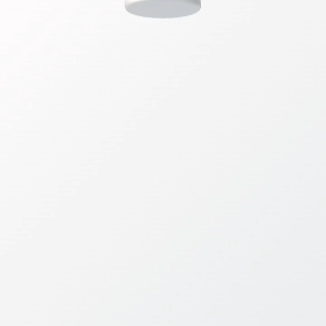 GENERIQ Spirulina Extract 500mg (Natural Detox Metabolic Boost & Immune Support)