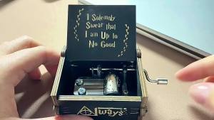 Harry Potter Hand Crank Music Box