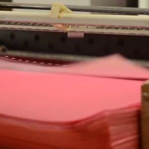 UMI  10g Gift Pack 20 Colourful Shredded Paper Gift Box Filler Cebis Cebisan Kertas Hiasan Hantaran Kenduri