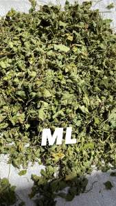 100 gram Daun pegagan kering asli bukan kering dari oven