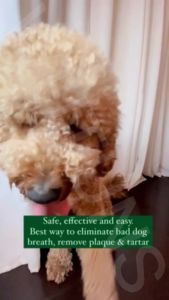 120ml Teeth Cleaning Spray for Dogs Cats Pet Tooth Stain Removal Halitosis Clean Spray Bad Breath Pet Supplies