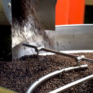 Coffex Coffee Bean - Discovery Blend Whole Bean 100% Arabica Whole Coffee Bean (250g-1kg)