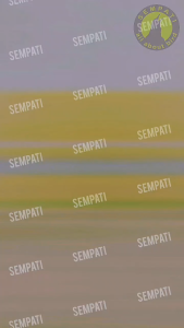 SEMPATI HI-VIT Nutribird: Vitamin Burung Peningkat Daya Tahan, Stamina, & Kestabilan