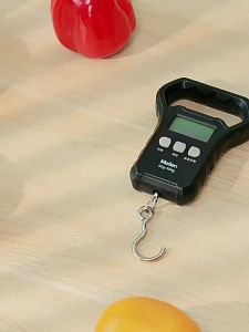 High Precision Portable Electronic Scale 50kg