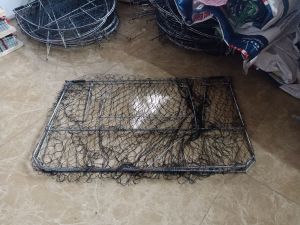 mẹt vuông bẫy bịp