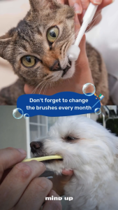 Mind Up Pet Dental Care | Toothbrush Toothpaste / Liquid & Mouth Spray for Dogs & Cats -Oral Health