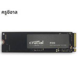 Crucial SSD P310 M.2 2280 500GB 1TB 2TB PCI-Express 4.0 x4 NVMe 3D NAND Internal Solid State Drive – ความเร็วสูงสุด 7100 เมกะไบต์/วินาที