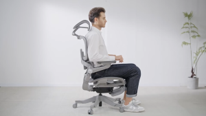 Hinomi H1Pro Ergonomic Home Office Chair Foldable With Footrest and Flip-up Armrest | Mesh Gaming Chair
