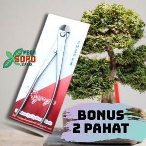 Alat bonsai Catok Potong Kawat Ryuga Stenlis Pemotong Kawat RS 10
