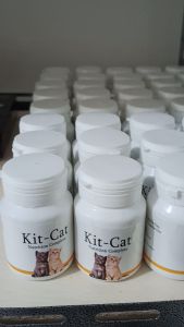 30 BUTIR VITAMIN KUCING GEMUK MENAMBAH NAFSU MAKAN BULU MENGKILAT