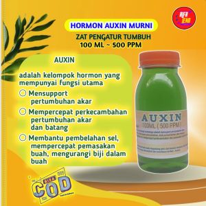 ZPT Hormon Auxin zat pengatur tumbuh akar auksin berfungsi mensuport perkembangan akar sehingga tanaman tumbuh secara maksimal dan optimal