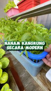 INFARM - Paket Kit Hidroponik Rakit Apung Kangkung Bak Persegi