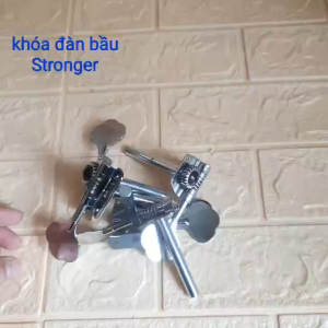 khóa đàn bầu trục đàn bầu loại tốt tặng dây lẻ Phụ Kiện Âm Nhạc Sạch - Lazada