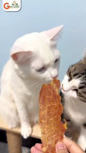 วิธีการฟื้นฟูหมูสไลด์อบกรอบขนมหมา ขนมแมว ไม่ปรุงรส แพ้ไก่ แพ้แป้ง กินได้