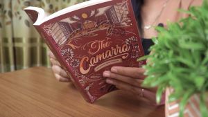 Novel Remaja / The Camarro Bonus Cabe Cabean The Untold Stories