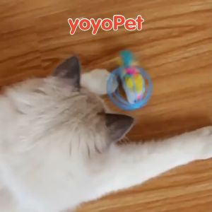 yoyopet : ของเล่นแมว บอลกรงหนู ลูกบอลล้มลุก ขนนกล่อแมว ของเล่นสัตว์เลี้ยง บอลกรงกระดิ่ง คละสี