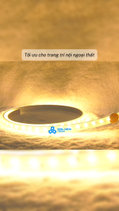 (Rạng Đông) Đèn Led dây IP65 8W 10W Sáng trắng/Vàng/Đổi 3 màu Trang trí LD03 & Bộ nguồn Driver LD01