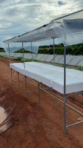 โรงเรือน (ขนาดกลาง L) ปลูกผักไฮโดรโปนิกส์ วางได้ 20 กล่องโฟม โรงเรือนสำเร็จรูปประกอบง่าย (มีคลิปสอน)