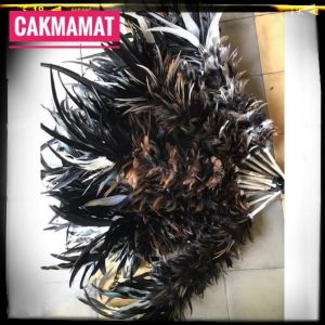 Kemucing bulu ayam coklat hitam 50cm