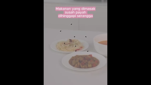 Tudung Saji Stainless Steel Jumbo/Penutup Makanan/Bahan Stainless Anti Karat & Plastik