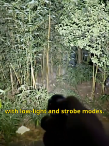 Keychain Flashlights Rechargeable 800 Lumens EDC Mini Flashlights with 7 Light Modes COB Keychain Work Light Flashlights for Walking Searching and Hiking