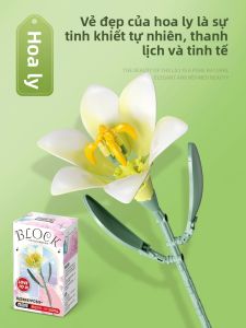FEIMI | Hoa Đá Giả Lắp Ráp Hoa Vĩnh Cửu Quà Tặng