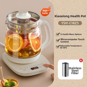 「China Plug」Bear | Multi-Function Insulated Glass Tea Kettle