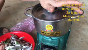 Máy xay thịt cá tôm cua... máy đánh ruốc bông