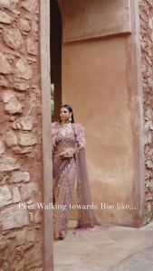 [PRE-ORDER] Soft net sarees {ETA:2025-12-31}