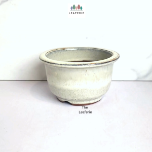 The Leaferie Petit Bonsai Pot (Series 21) . Plant pot . Ceramic . Flowerpot . Planter . small purple sand pots