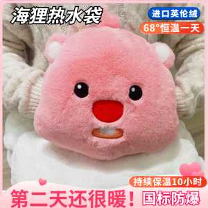 Cute Plush Rechargeable Hot Water Bottle Lopy New Year Gift Warm Hearted Soft Toy for Girls Hand Warmer Non Explosive
