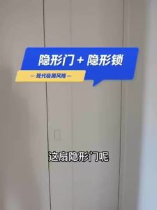 Invisible Door Lock Hidden Outside Opening Wooden Door Handle Magnetic Silent Door Handle Dark Handle Indoor Lock Core