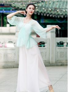 Elegant Ancient Style Outer Shawl National Dance Costume Adult Womens Practice Uniform Body Shape Classical Dance Clothes