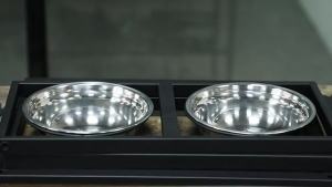 Detachable Stainless Steel Pet Bowl