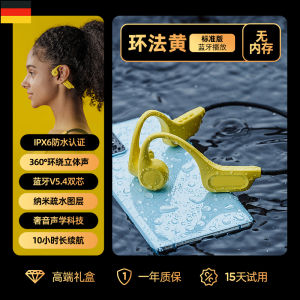 X15 Bone Conduction Bluetooth Earphones Wireless Swimming Cycling Waterproof Special Non-In-Ear Stereo Sound for Sports Running