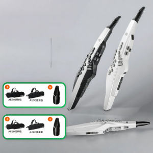 Self-Contained Sound Source Electronic Wind Instrument