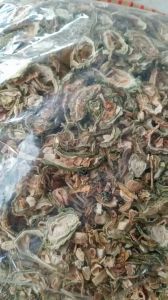 1kg trái khổ qua mướp đắng rừng sấy khô