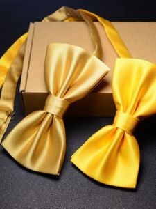 Wedding Bow Tie Pure Color Mens Womens Golden Groomsmen Butterfly Knot Chorus Performance Silk Tie Business Style Average Width