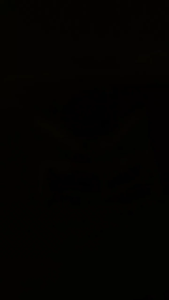 EMBLEM DASI SSTWO ALUMINIUM LOKAL PNP FIZ R VEGA R LAMA POLES Motorcycle