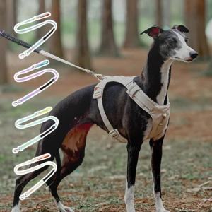 HamshMoc Pet Lead Reflective Design Bungee Webbing Safety Buckle For Daily Use