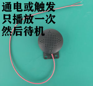 JDM Car Start up Warning Sound Modification Japanese ETC Cantonese Recording Alert Back up Horn Automotive Sound Modification