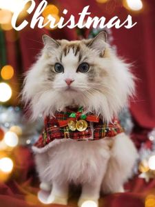 Warm Christmas Cat & Dog Coats: A Guide to Cozy Pet Apparel