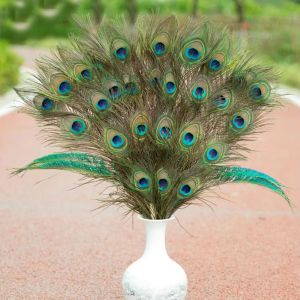 20PCS Natural Peacock Feather 25-30cm DIY Clothes Jewelry Making Wedding Party Hotel Bedroom Living Room Vase Home Decor