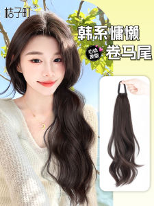 Long Hair Fake Braid Womens Style Double Sided Braided Wig Tail New Chinese Style Fake Hair Twist Braid Hair Extension