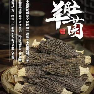 Fresh New Harvest Farmhouse Dried Morels Yunnan Specialty Short Stemmed Wild Edible Mushrooms Chinese Dry Goods Household Use