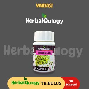 HerbalQulogy - TRI BULUS Isi 60 & 100 Kapsul Murni Alami 100% Tunggal Original 30 kapsul tribuluss