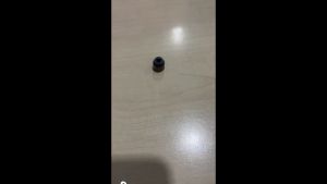 Seal Klep Seal Valve Livina Evalia March Juke 1.5cc 13207-ED000 - 7634 4 PCS